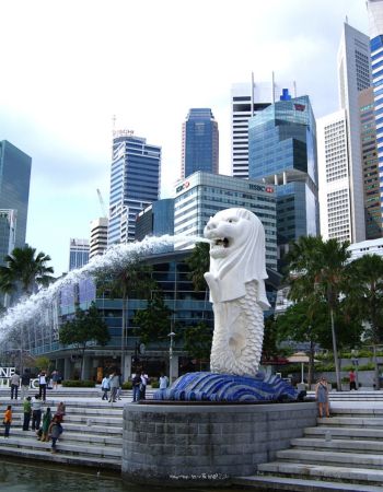 Find travel solutions with Tour Trekkers